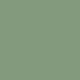Breakfast Room Green